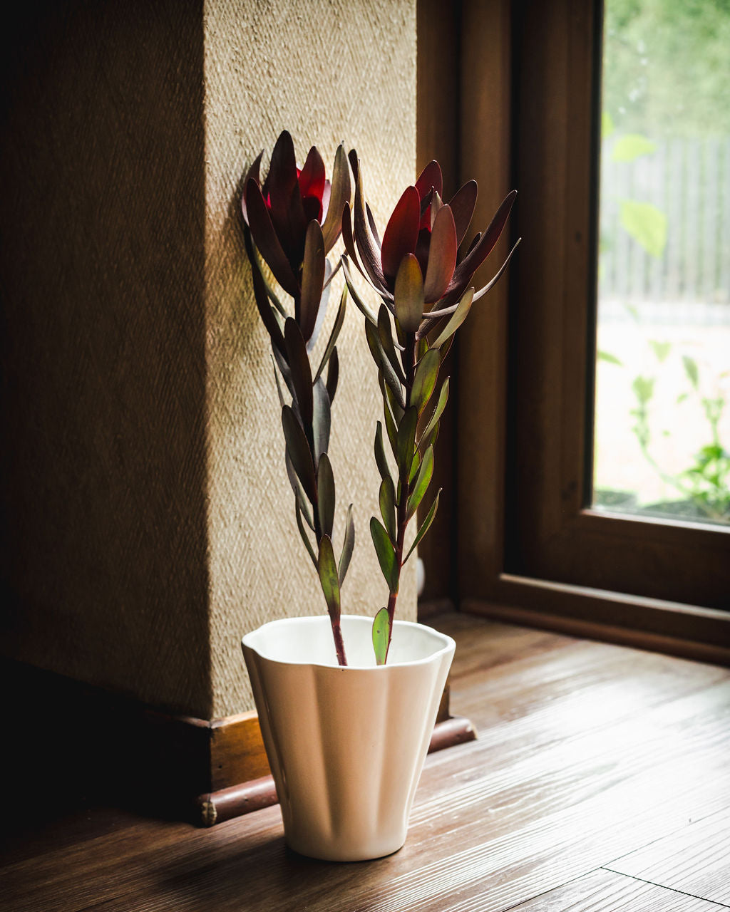 Furora Florero M