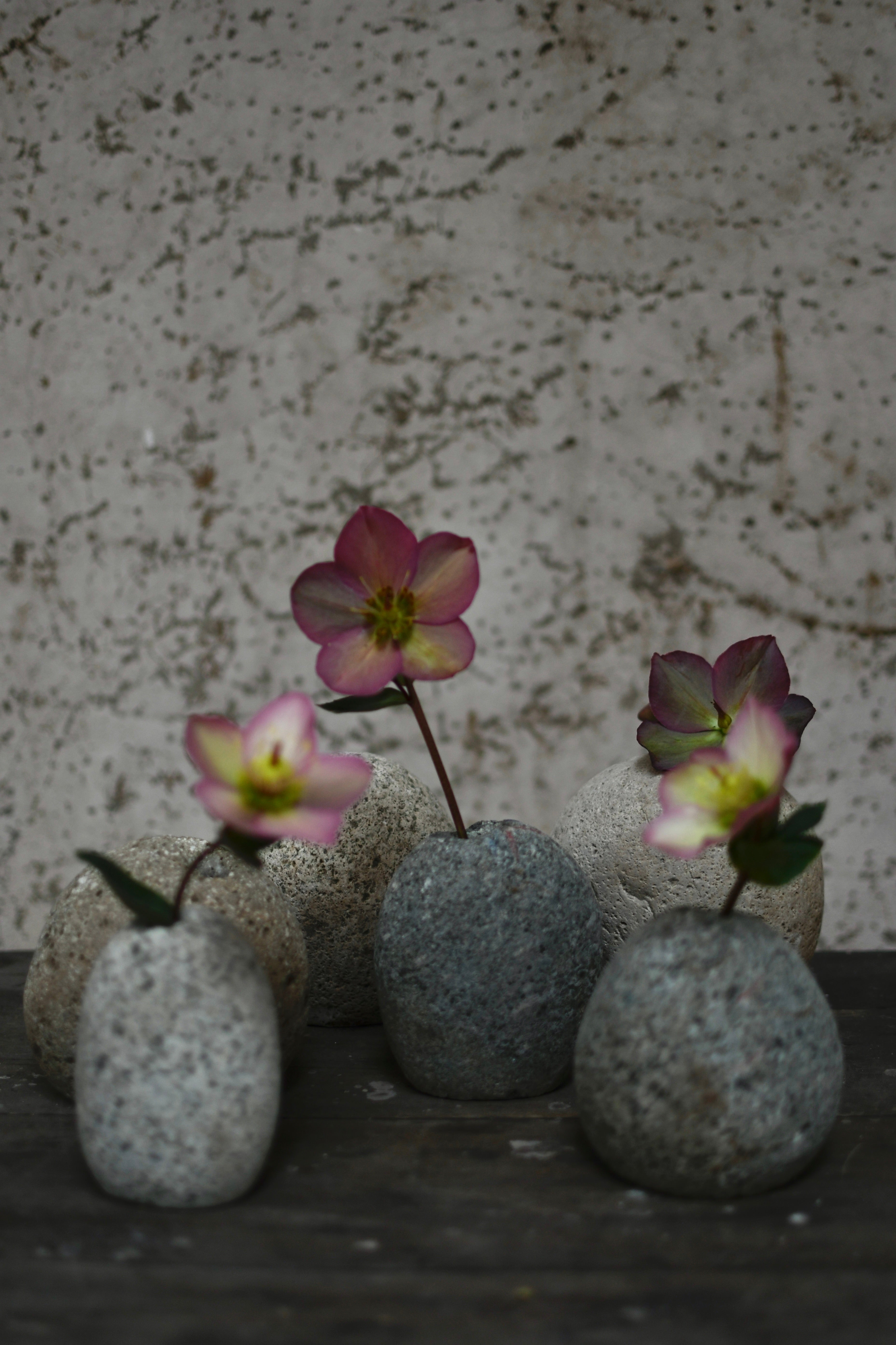 Florero Chilco Tríos