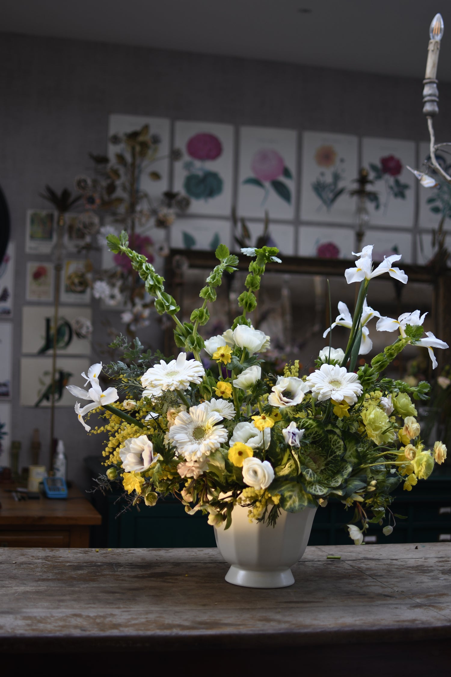 Furora Florero Floré