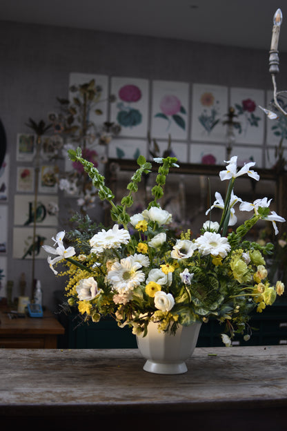 Furora Florero Floré