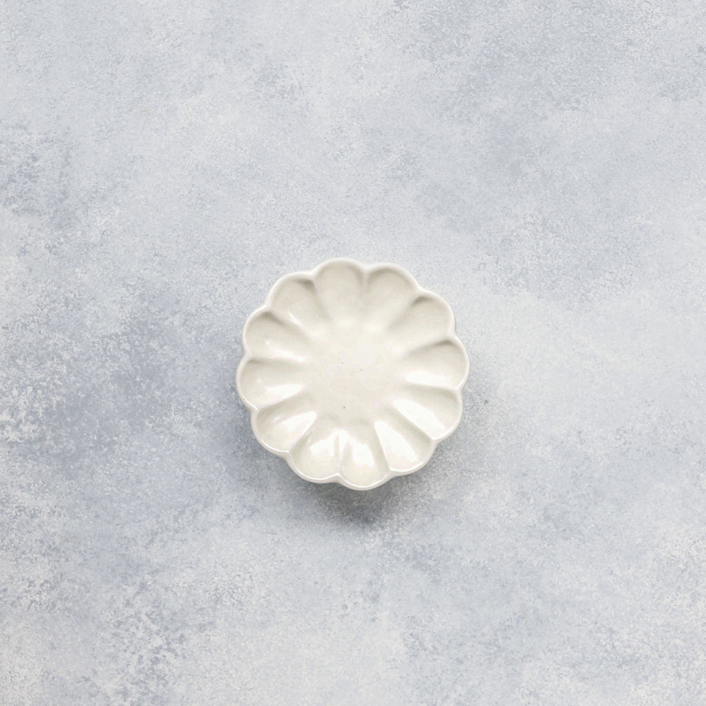 Furora Plato S
