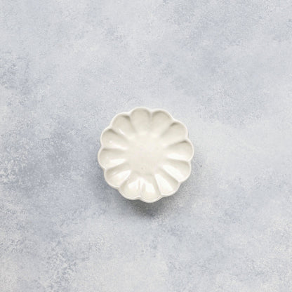 Furora Plato S
