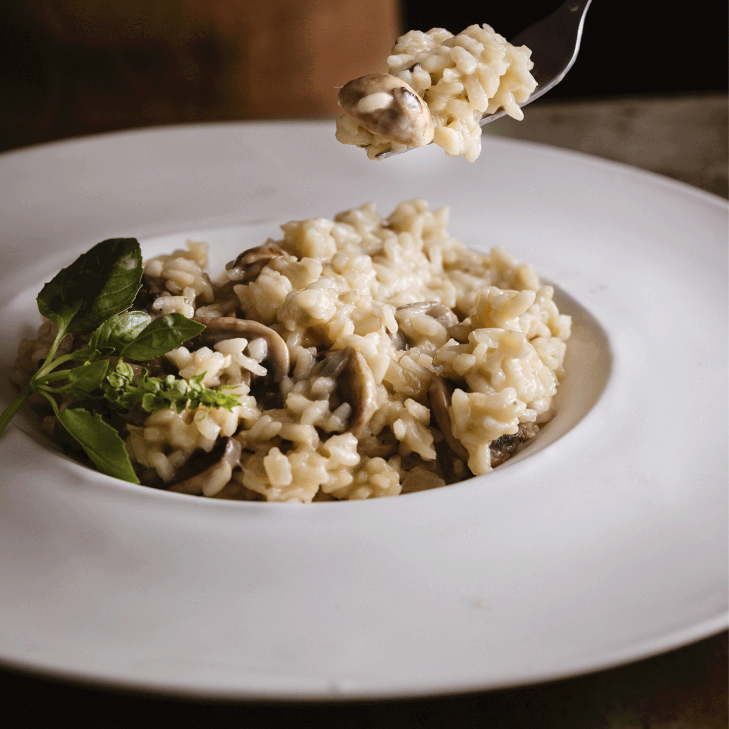 Olio Plato Hondo L