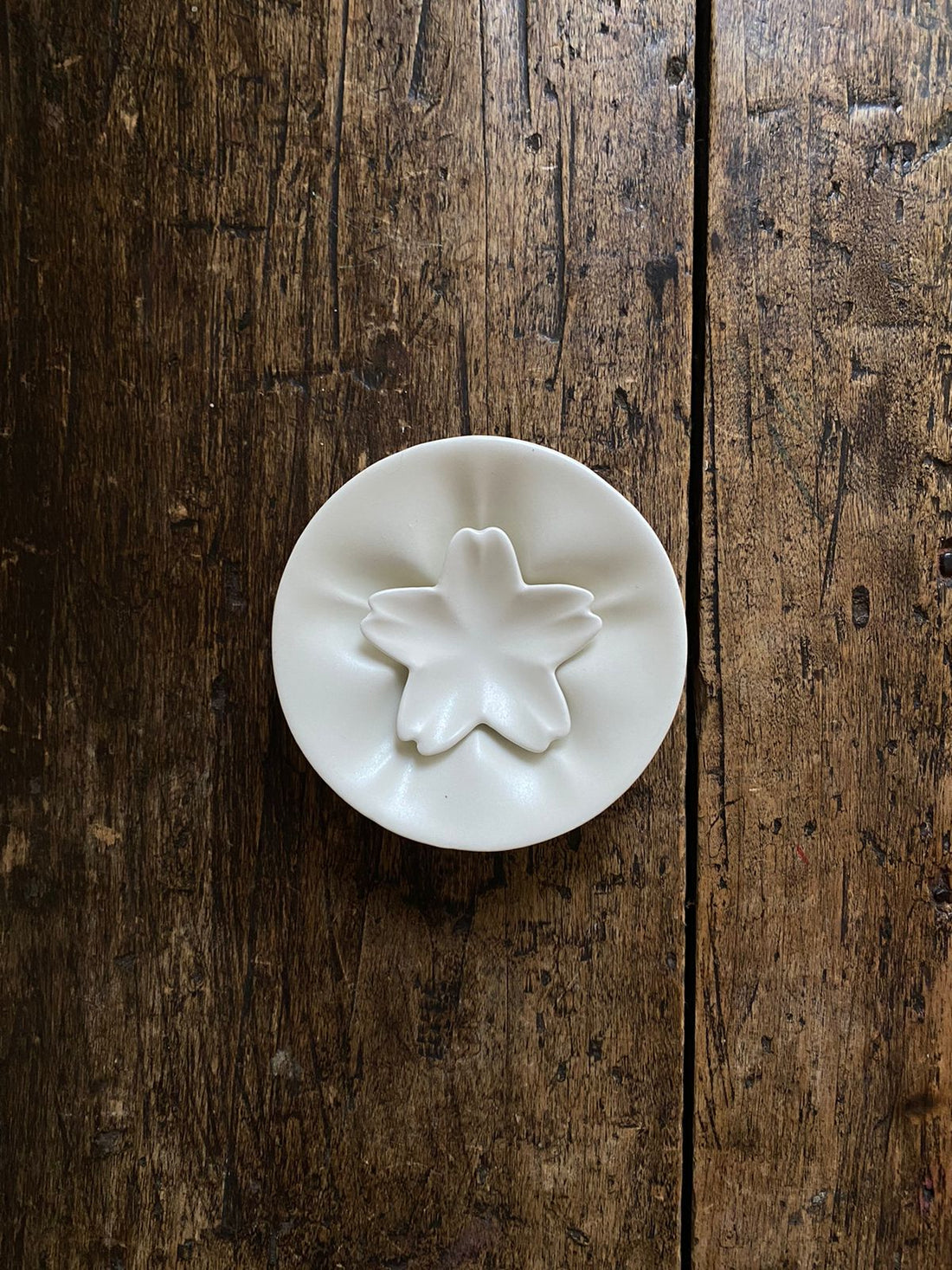 Furora Flor Soya