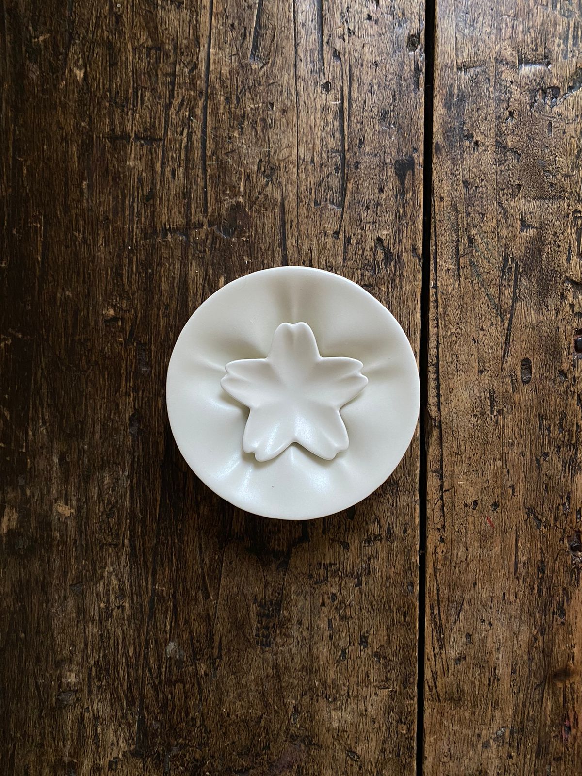 Furora Flor Soya