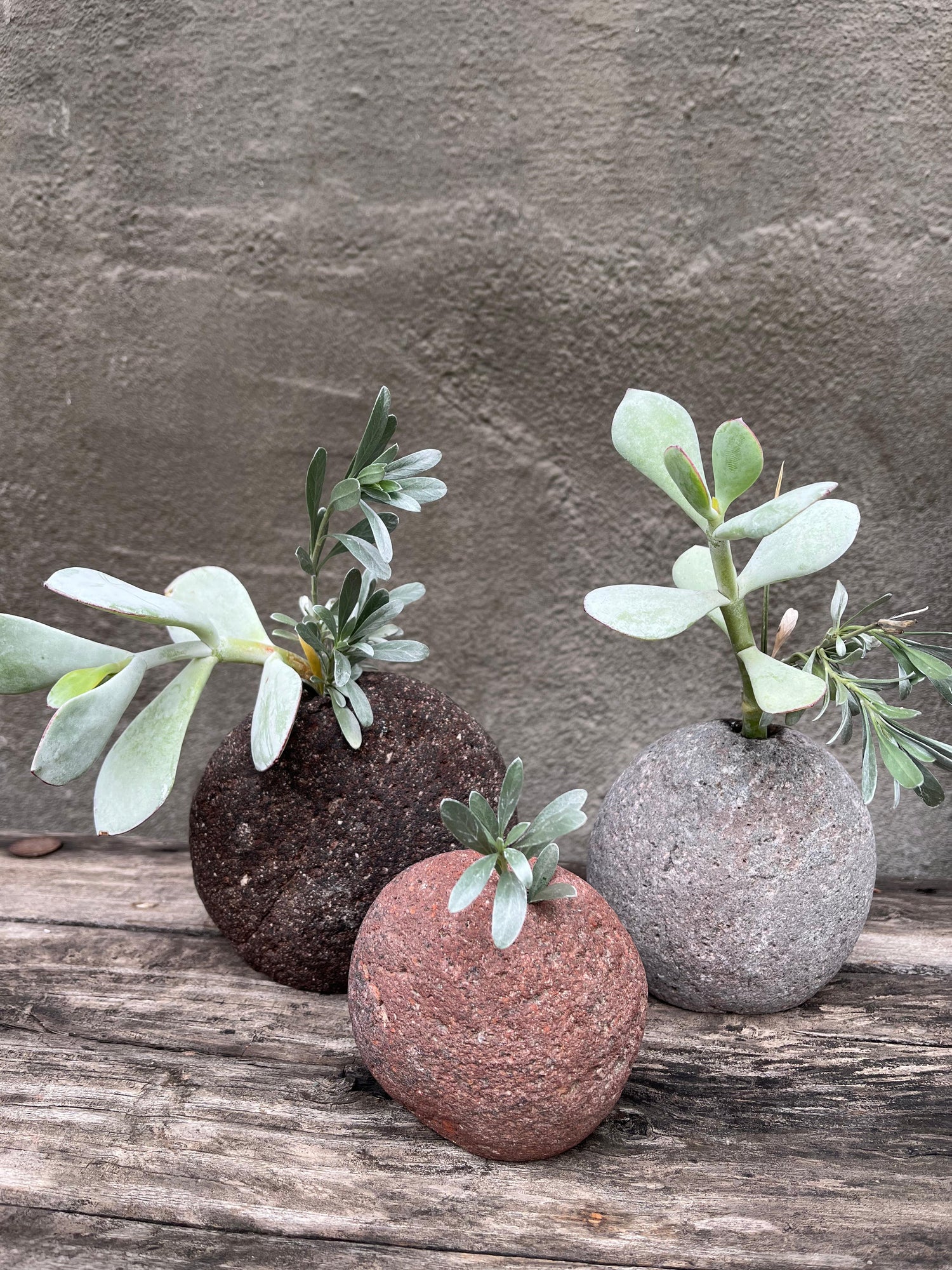 Florero Chilco Tríos