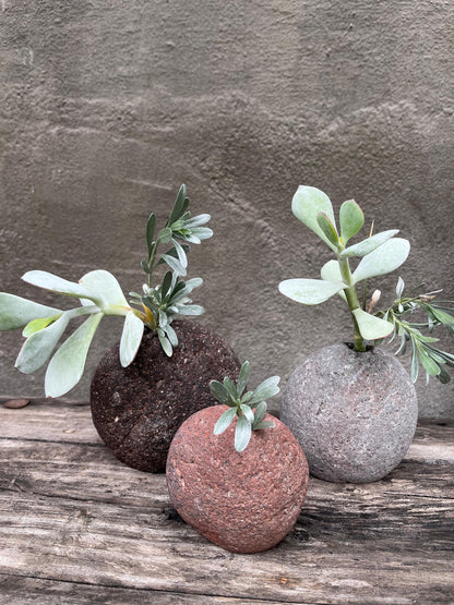 Florero Chilco Tríos